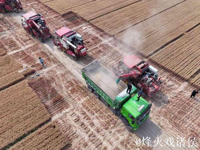 “三夏”里的新质生产力